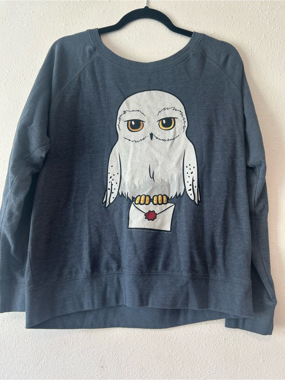 Women's Blue Crewneck Sweater with Owl Graphic